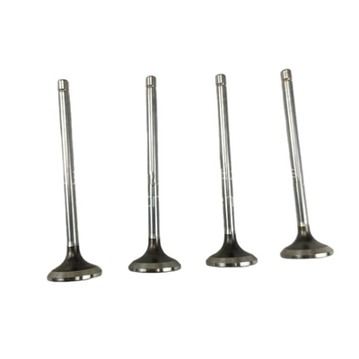 Standardgröße Stahl-Auspuffventil für QC480 Auto-Ersatzteile 2408000300800-c