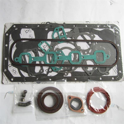 JAC Auto-Fitment Dieselmotor Reparatur-Kit für Quanchai N485 Motor 112100-422116-21