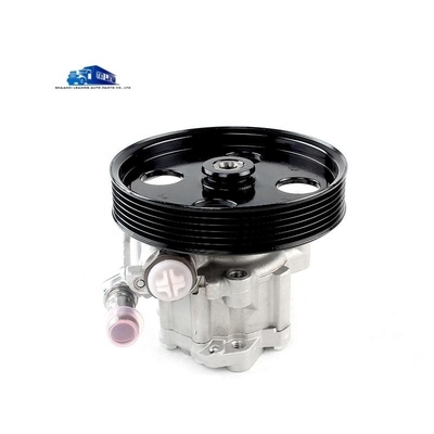 Yunnei D19 Steering Booster Pump X197091 Steering Oil Pump zum Ersetzen/Reparatur