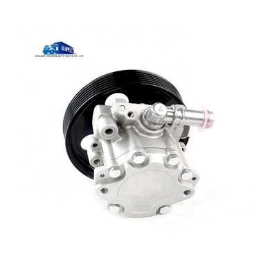 Yunnei D19 Steering Booster Pump X197091 Steering Oil Pump zum Ersetzen/Reparatur