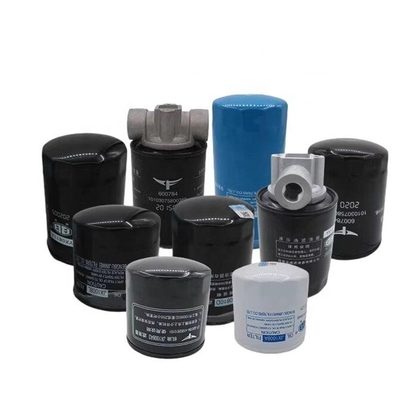 FOTON-Referenznummer JX0807A16 Dieselmotoren Ölfilter L0391160001A0 für Montpak